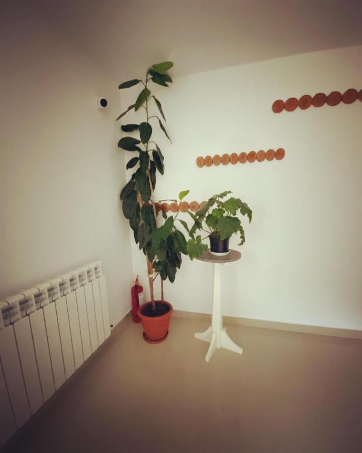 Maison Platanus Voineasa Exteriör bild